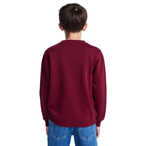 Element Icon Embroidery Cr Y - Sweater voor Jongens 8-16 Element Icon Embroidery Cr Y - Sweater voor Jongens 8-16