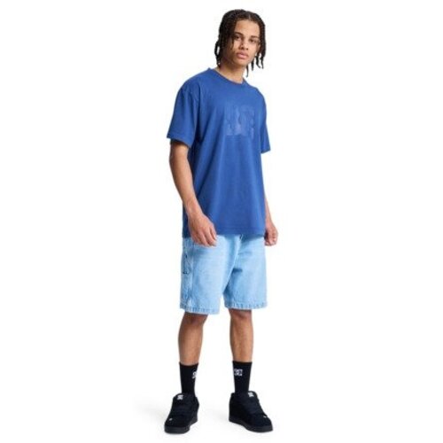 DC Shoes DC Star Pigment Dye - T-shirt met korte mouwen voor Heren