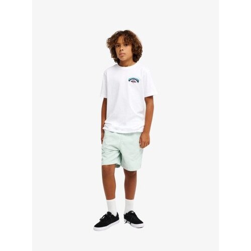 Quiksilver Taxer - Walkshort met Elastische taille voor Jongens 8-14