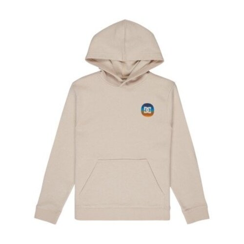 DC Shoes Shape Or Destroy - Hoodie voor Jongens 8-14