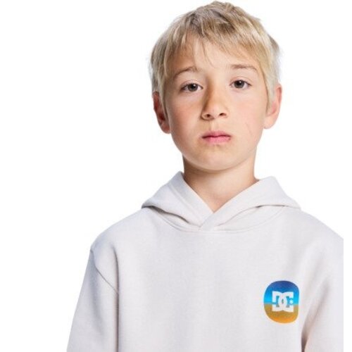 DC Shoes Shape Or Destroy - Hoodie voor Jongens 8-14