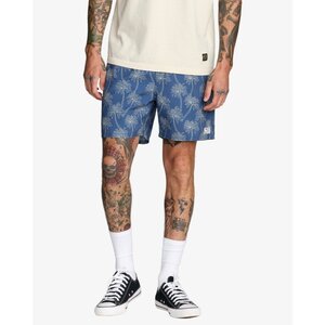 RVCA Exotica Elastic 2 16" - Volley voor heren