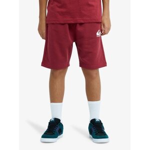 Quiksilver Easy Day - Korte joggingbroek voor jongens 8-14