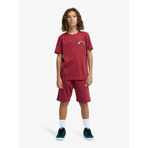 Quiksilver Easy Day - Korte joggingbroek voor jongens 8-14