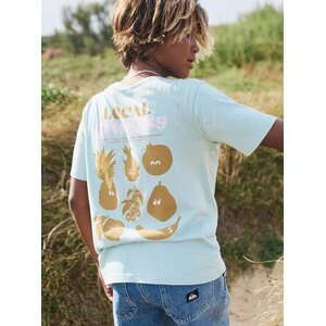 Quiksilver Fruits Tide - T-shirt korte mouwen voor jongens 8-14 jaar Quiksilver Fruits Tide - T-shirt korte mouwen voor jongens 8-14 jaar