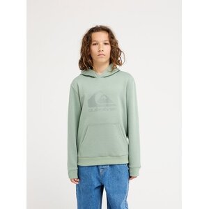 Quiksilver Comp Logo - Hoodie voor jongens 8-14
