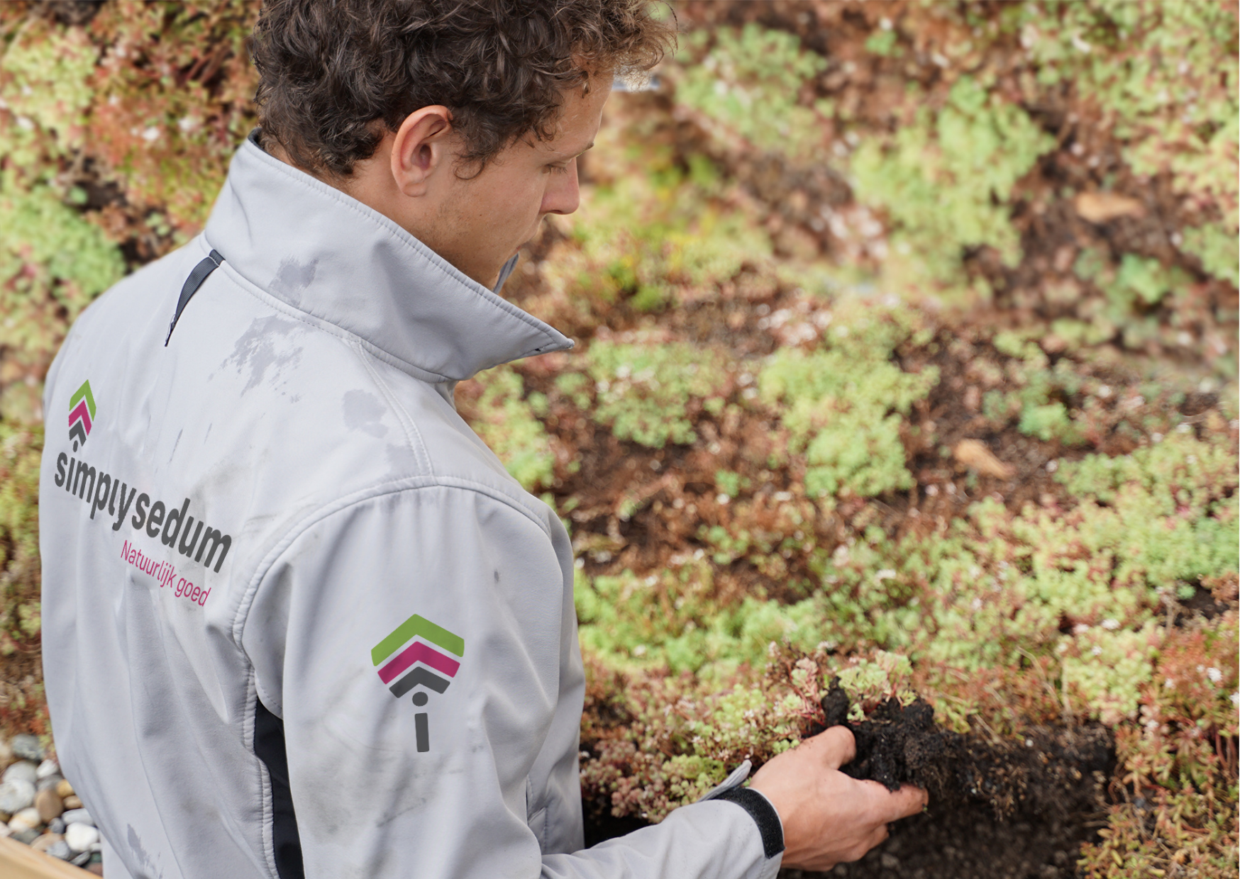 Verlegeservice für Sedum-Matten pro m2