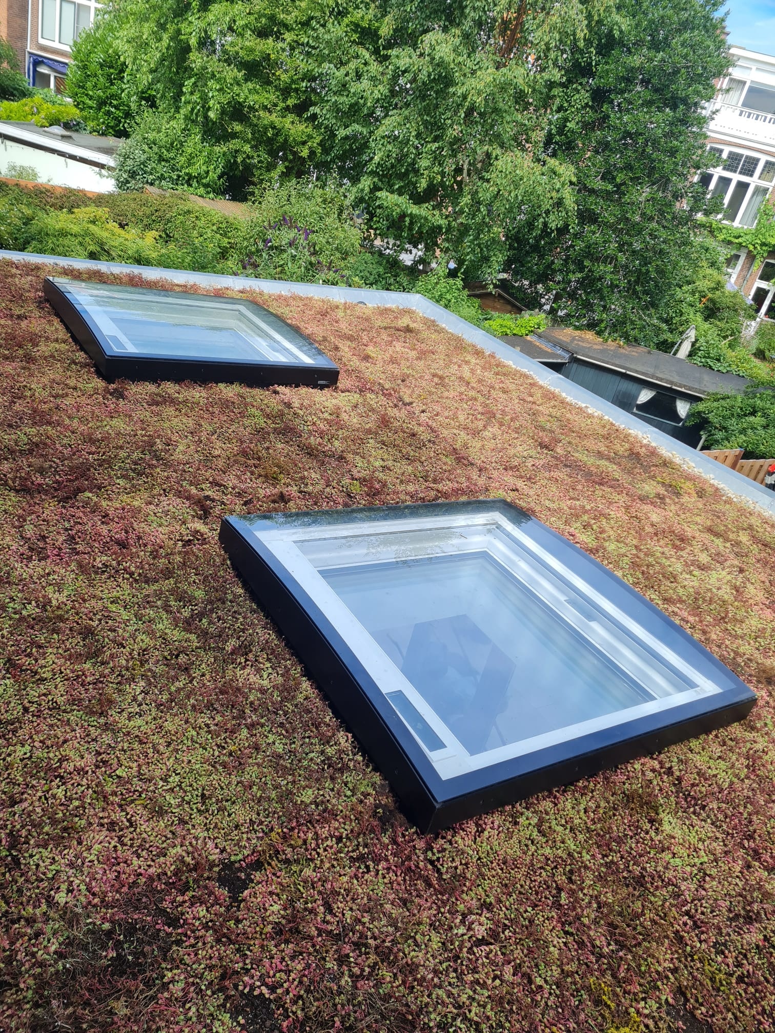 Sedum-Matten | pro m2 | inkl. Schutzvlies, Substrat und Kies