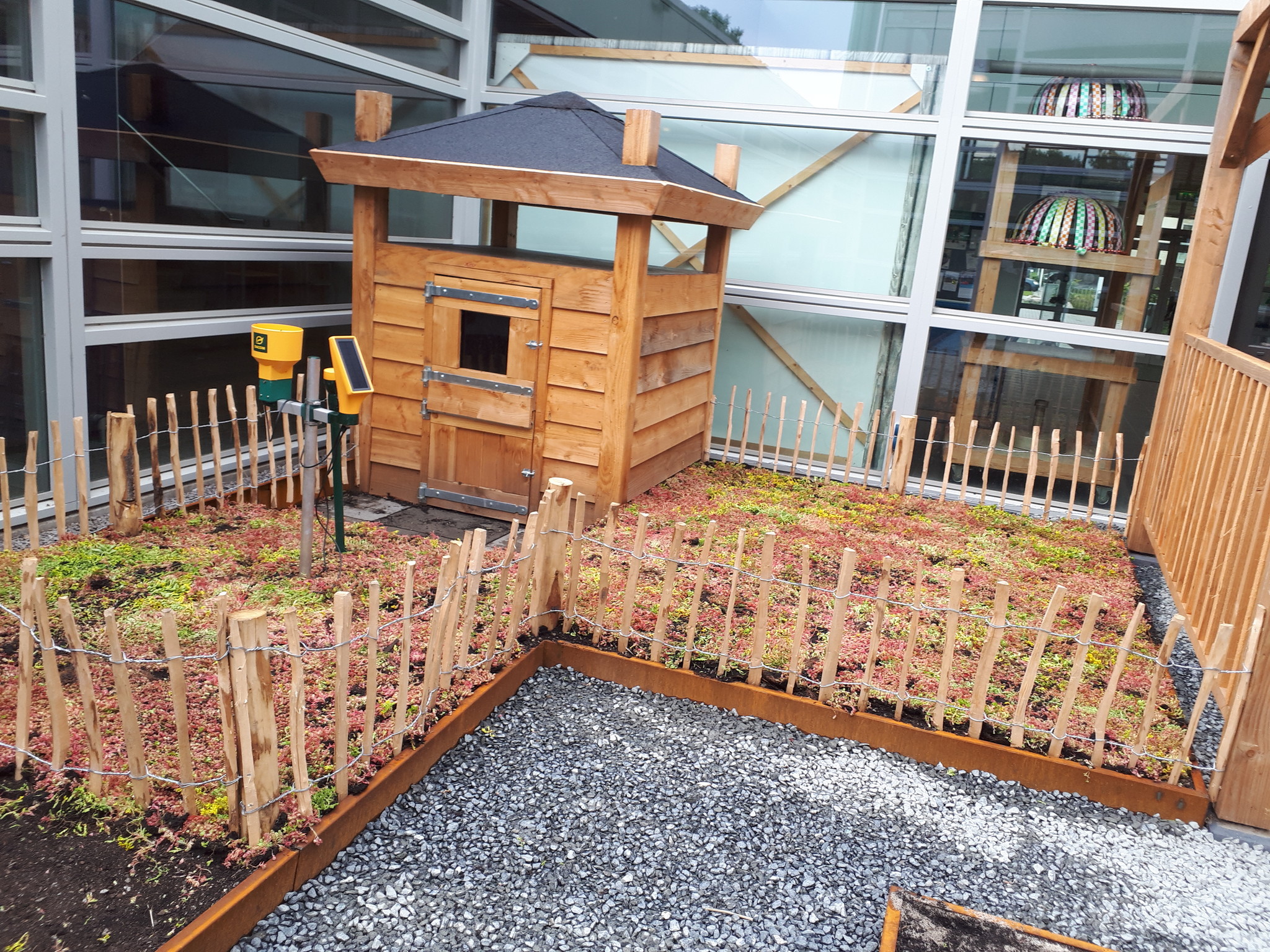 Sedum-Bodendecker | pro m2