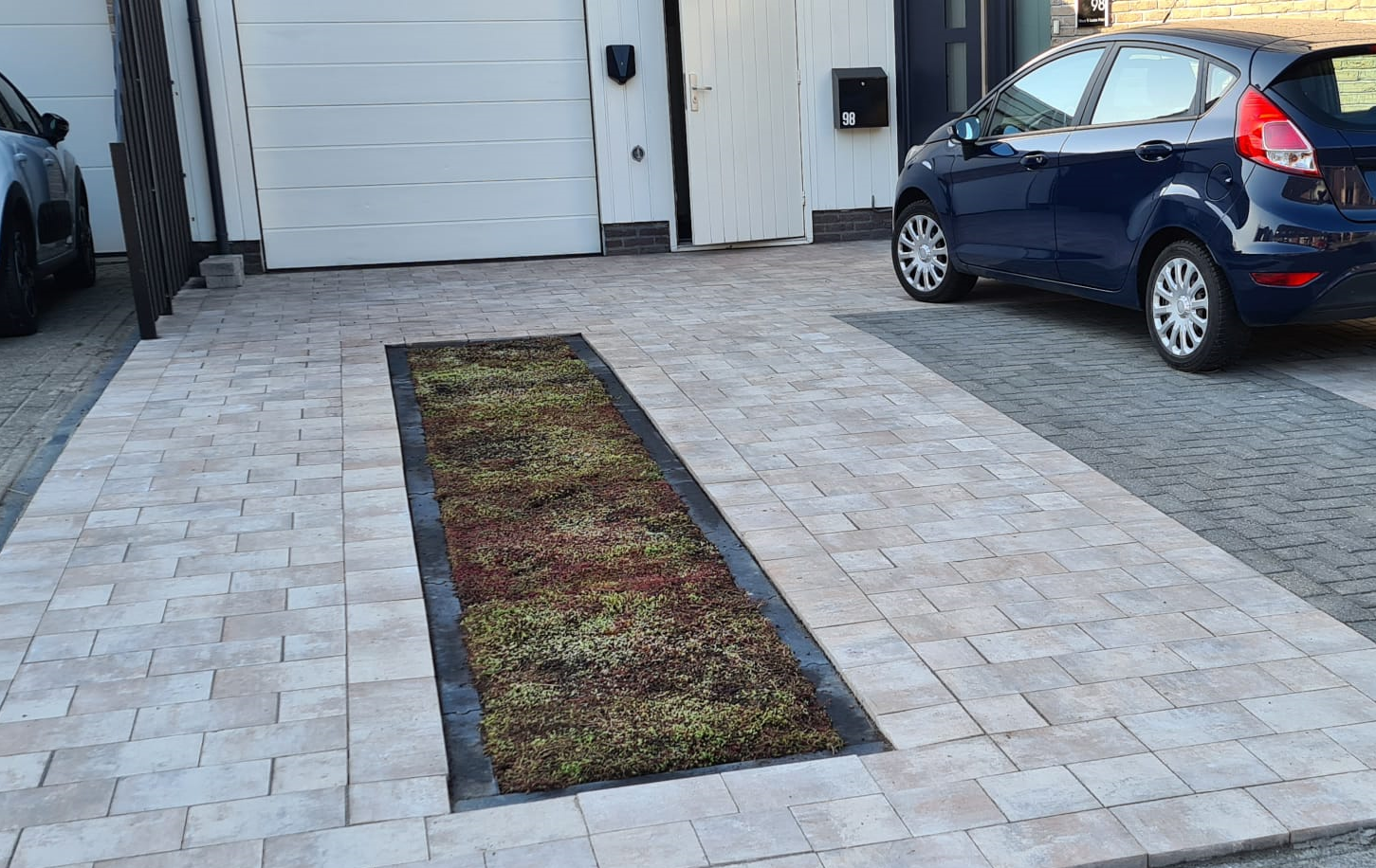 Sedum-Bodendecker | pro m2