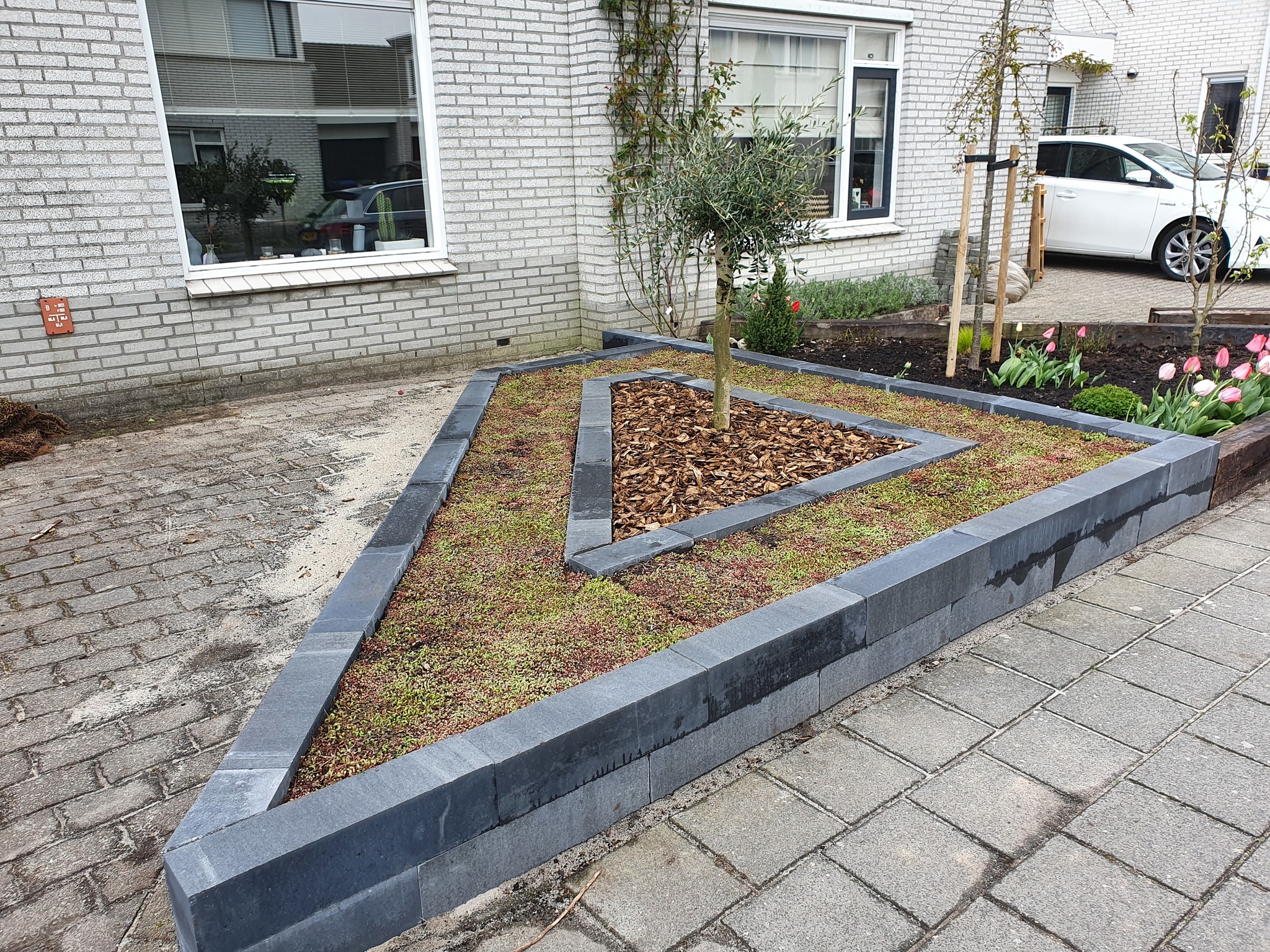 Sedum-Bodendecker | pro m2