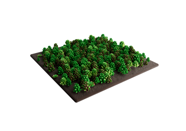 Sedum-Matten | pro m2