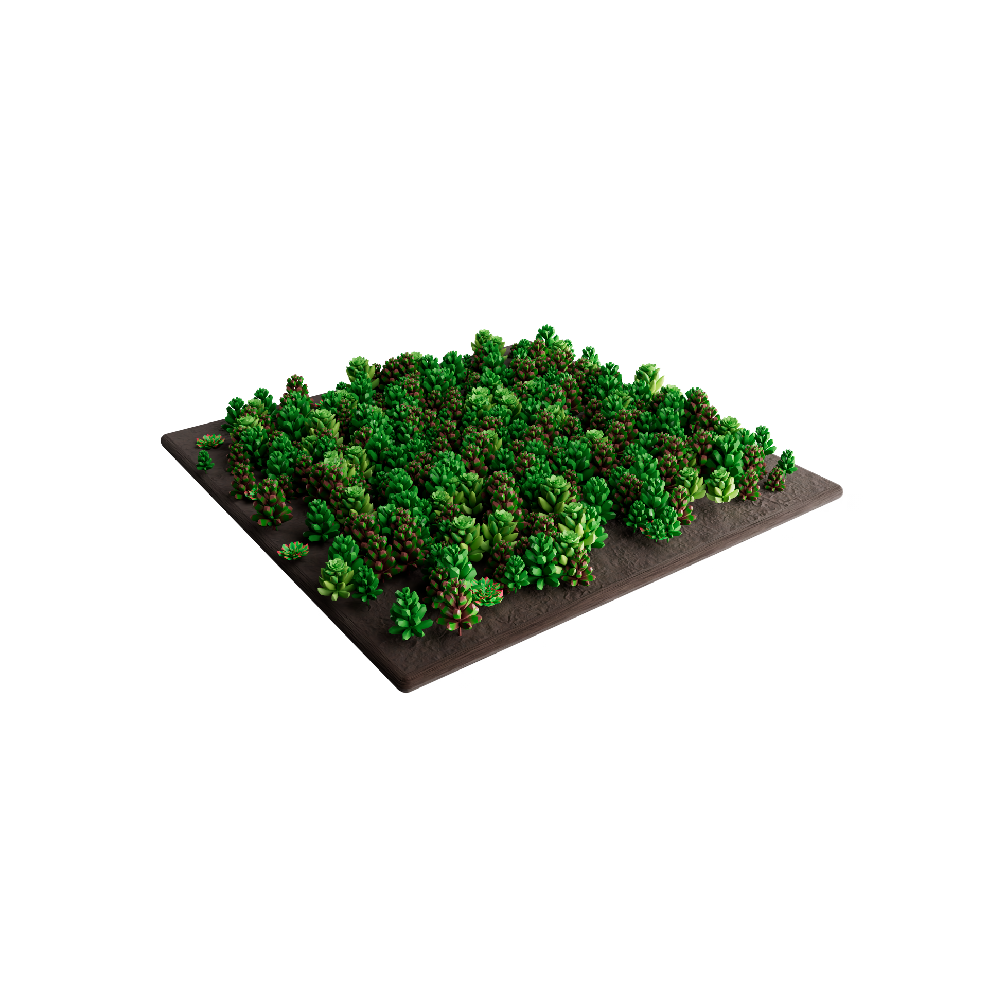 Sedum-Matten | pro m2