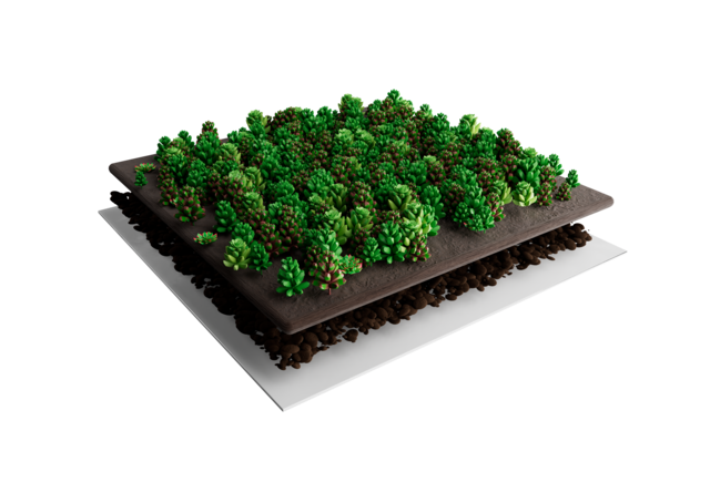 Sedum-Matten | pro m2 | inkl. Schutzvlies und Substrat