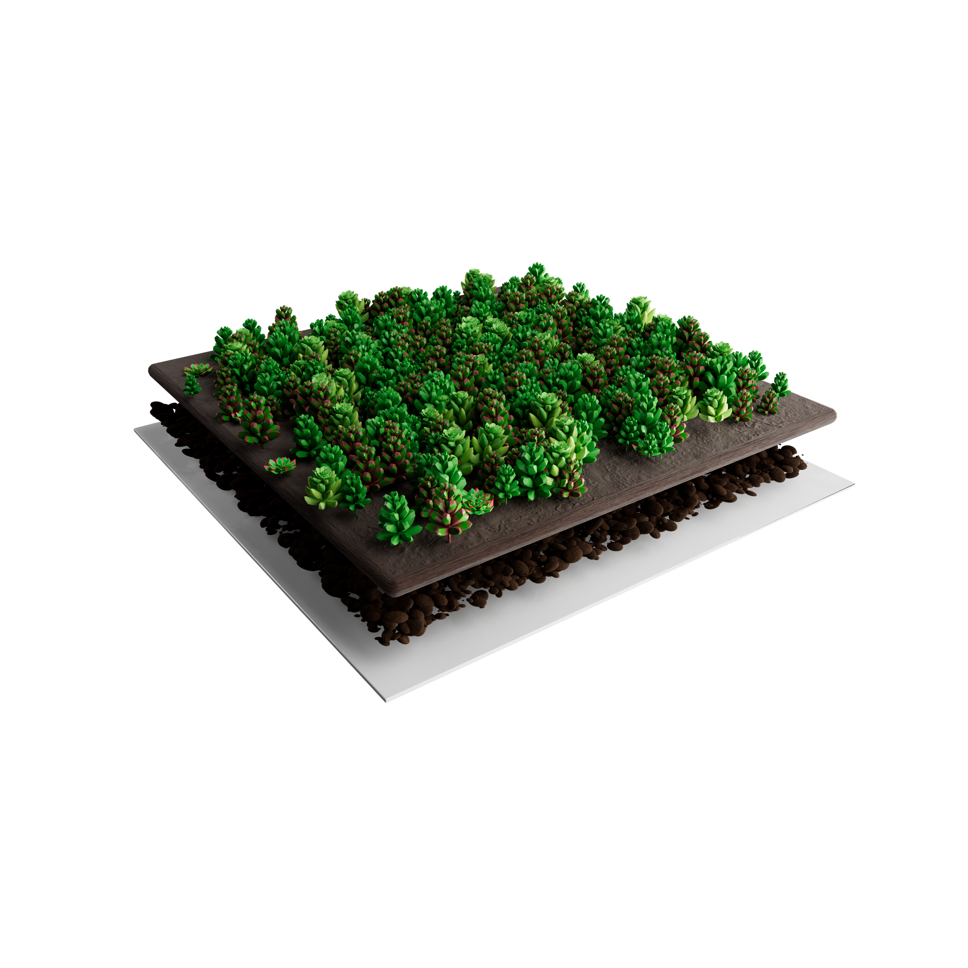 Sedum-Matten | pro m2 | inkl. Schutzvlies und Substrat