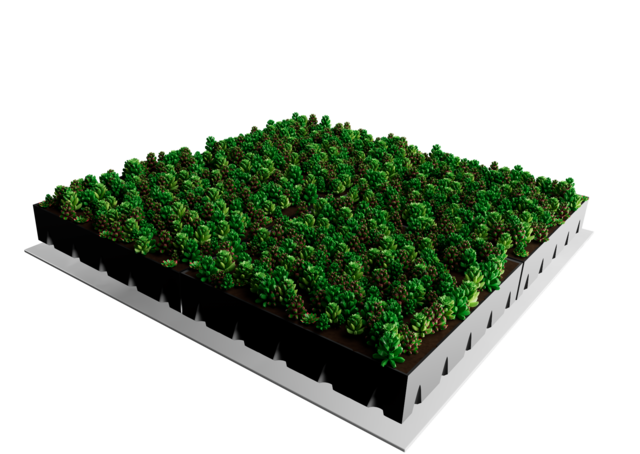 Sedum-Kassette | pro m2 | inkl. Schutzvlies