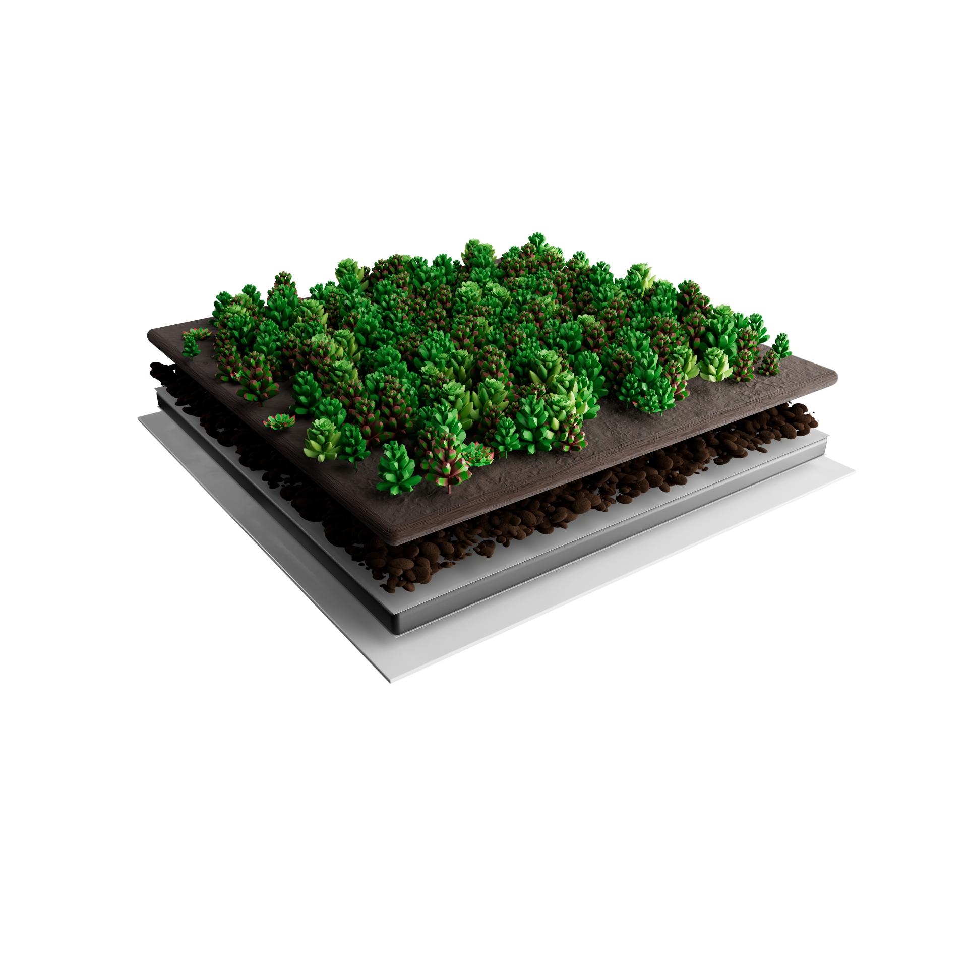 Sedum-Matten | pro m2 | inkl. Schutzvlies, Drainage und Substrat