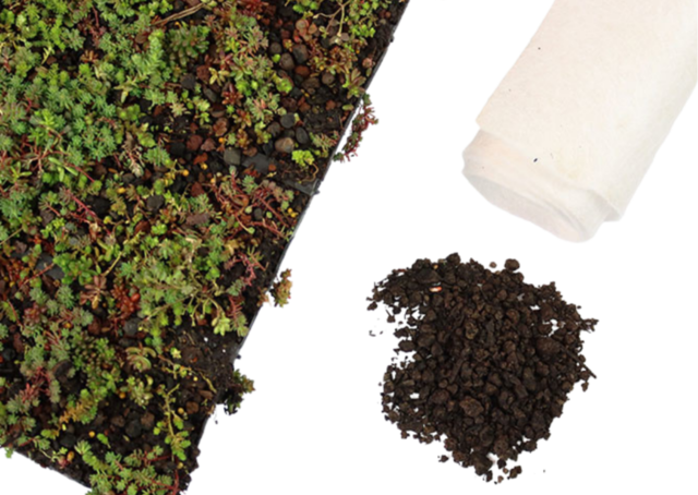 Sedum-Matten | pro m2 | inkl. Schutzvlies und Substrat