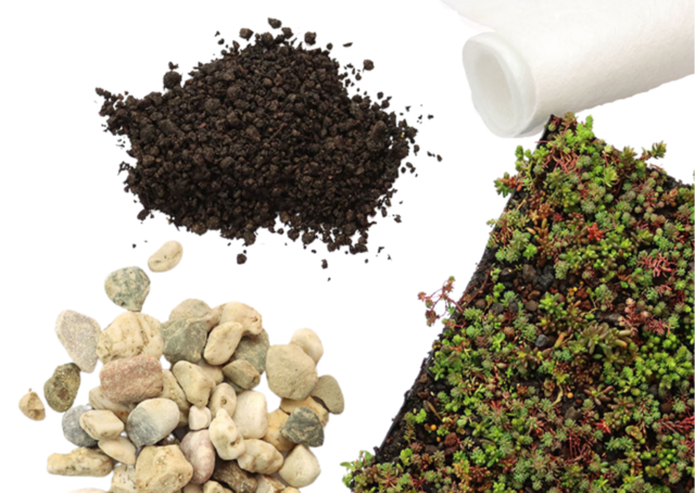 Sedum-Matten | pro m2 | inkl. Schutzvlies, Substrat und Kies