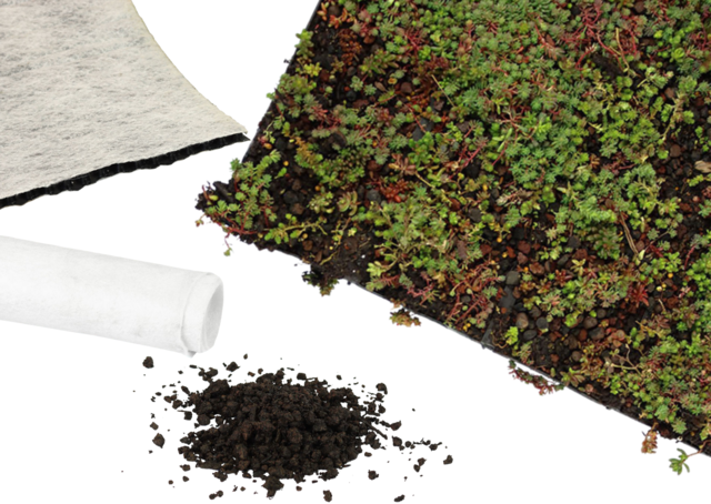 Sedum-Matten | pro m2 | inkl. Schutzvlies, Drainage und Substrat
