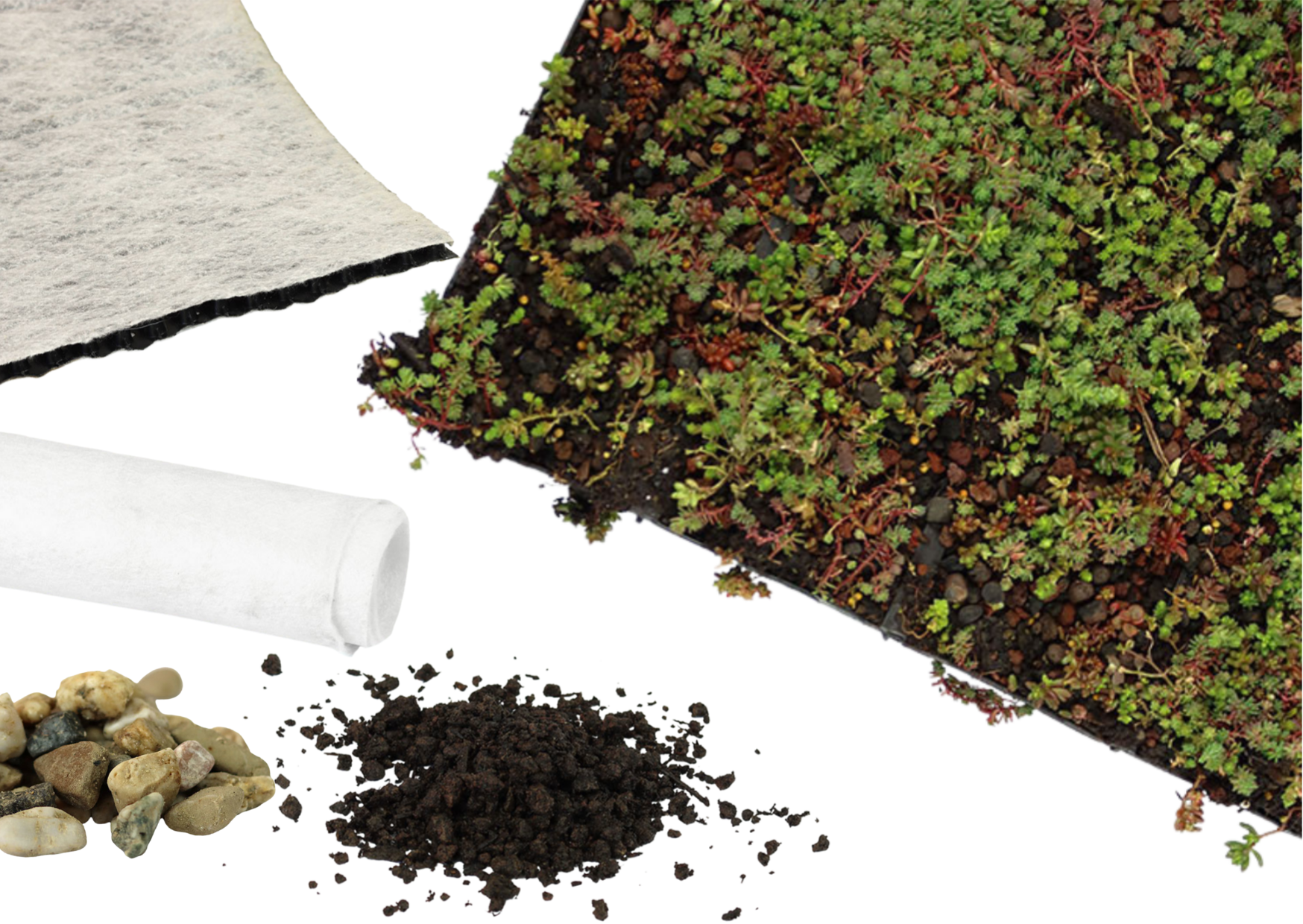 Sedum-Matten | pro m2 | inkl. Schutzvlies, Drainage, Substrat und Kies