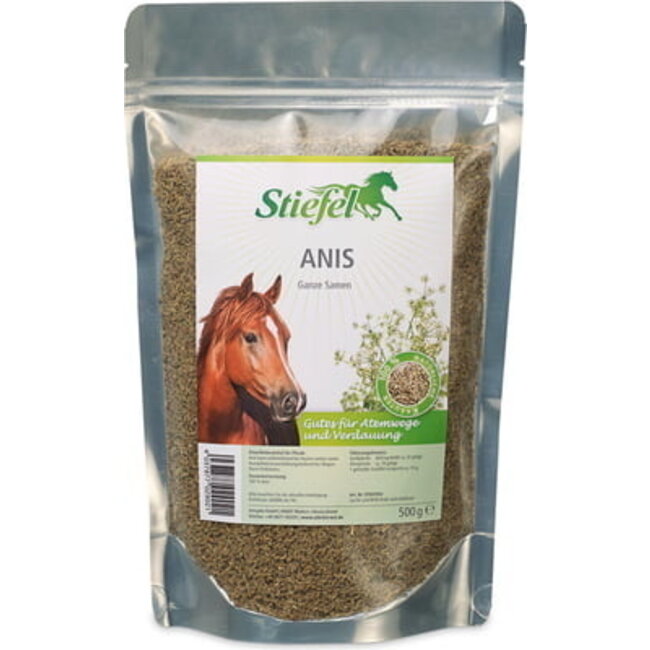 Anis, whole seeds