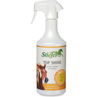 Stiefel Top Shine