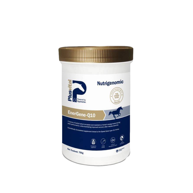 EnerGene-Q10
