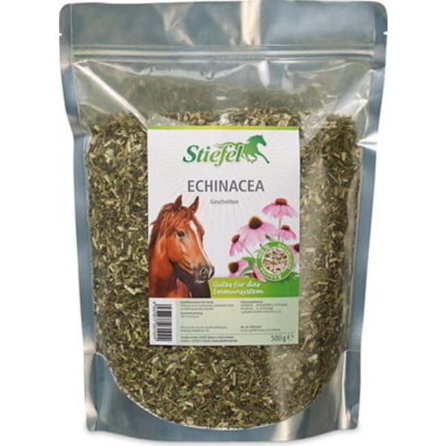 Echinacea, cut