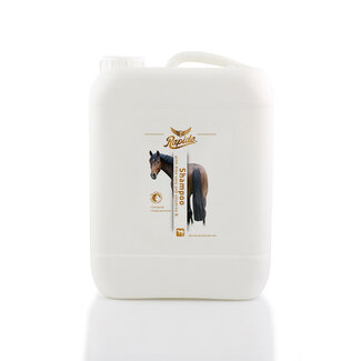 Rapide Rapide Shampoo
