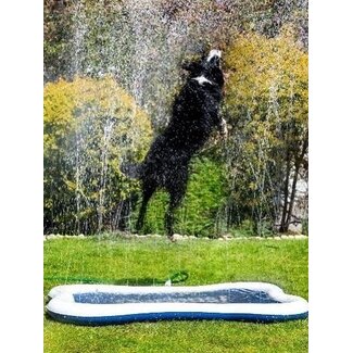 Quapas! Quapas Dog Splash