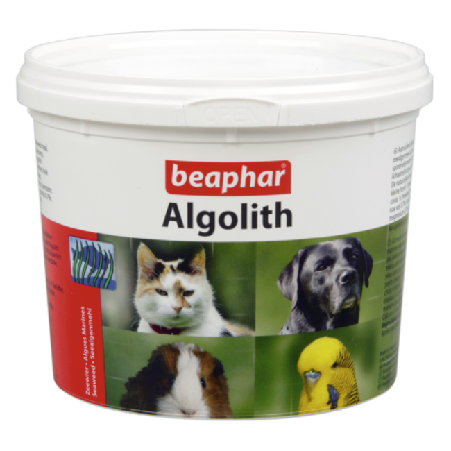 Algolith (seaweed)