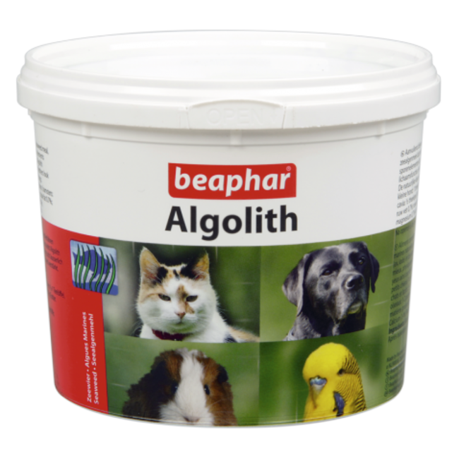 Algolith (zeewier)