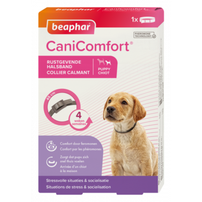 CaniComfort Calming Collar puppy