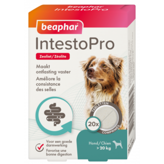 Beaphar IntestoPro hond > 20kg (bij dunne ontlasting)