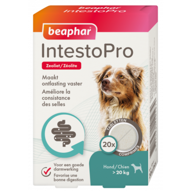 IntestoPro hond > 20kg (bij dunne ontlasting)