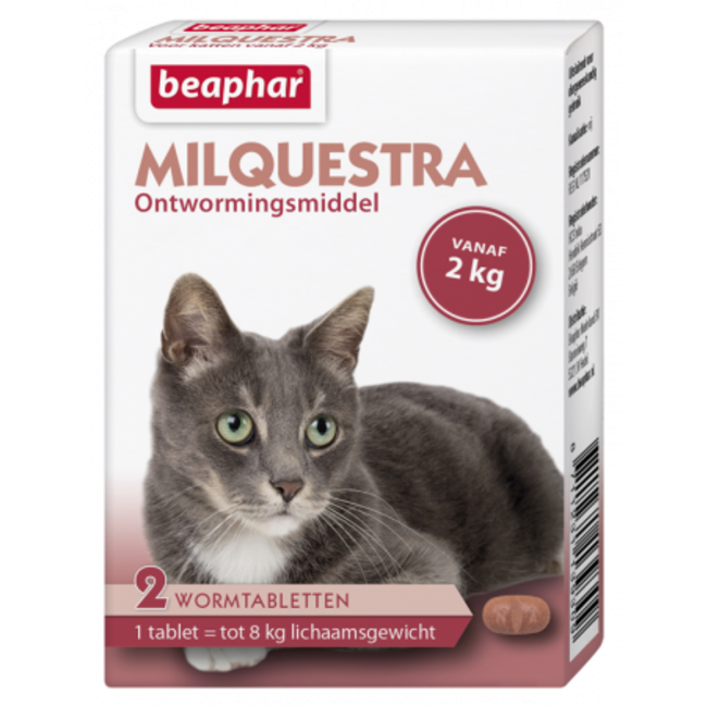 Milquestra kat (2 - 12kg)