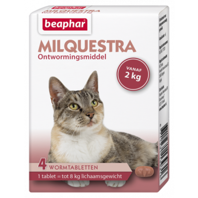 Milquestra kat (2 - 12kg)