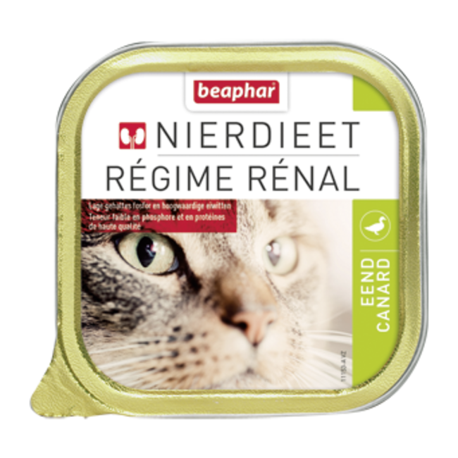 Kidney Diet Duck Cat