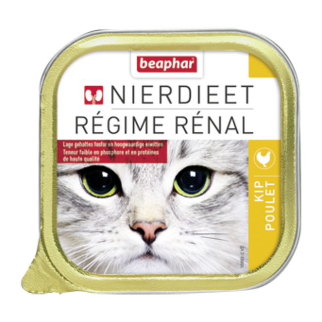 Kidney Diet Chicken Cat
