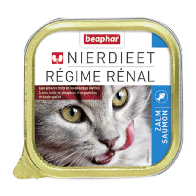 Kidney diet Salmon cat