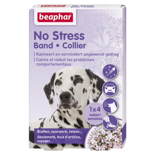 No Stress band hond