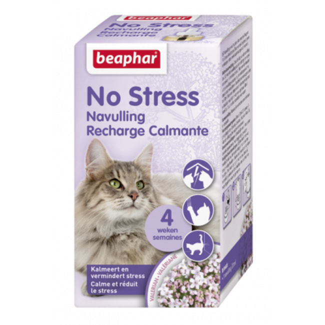 No Stress refill cat