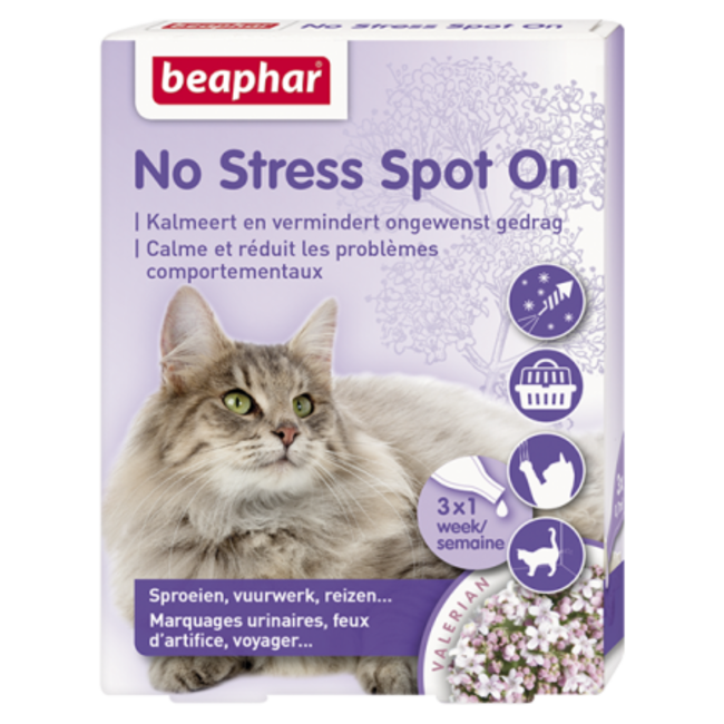 No Stress spot on kat