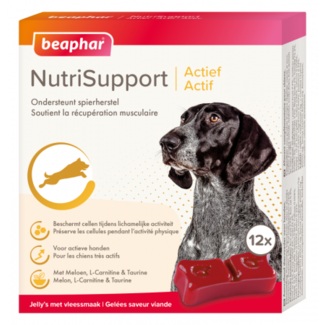 Beaphar NutriSupport Active dog