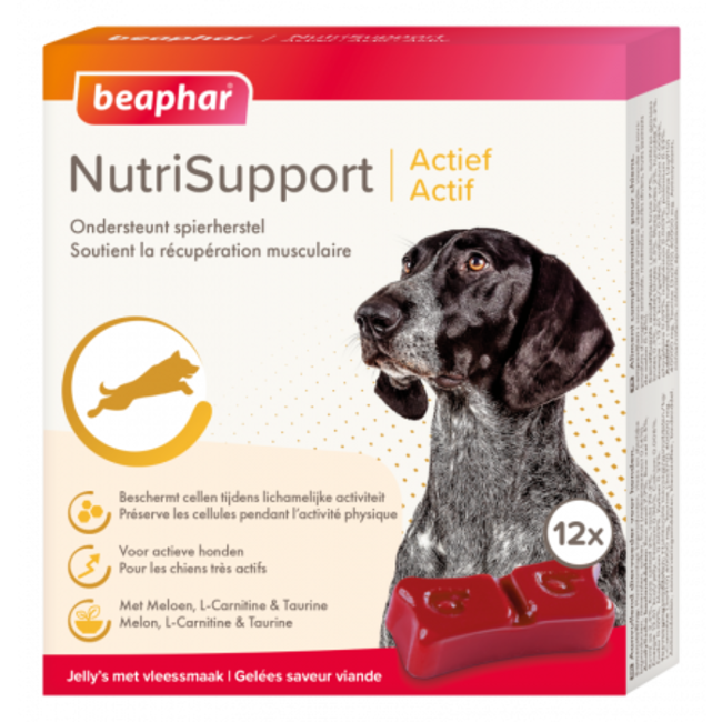 NutriSupport Active dog