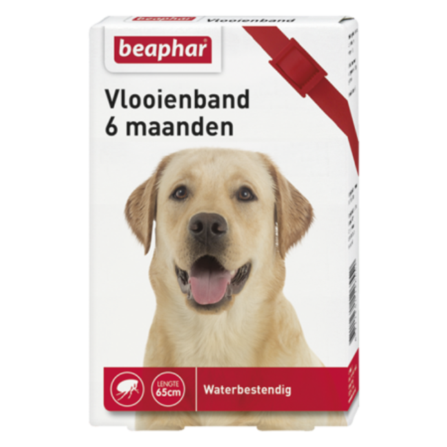 Flea collar 6mnd dog red