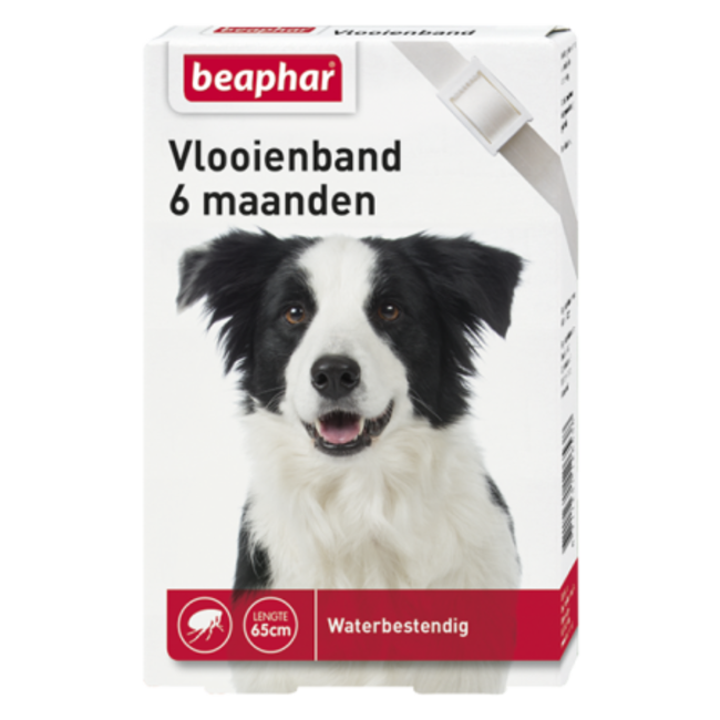 Flea collar 6mnd dog white