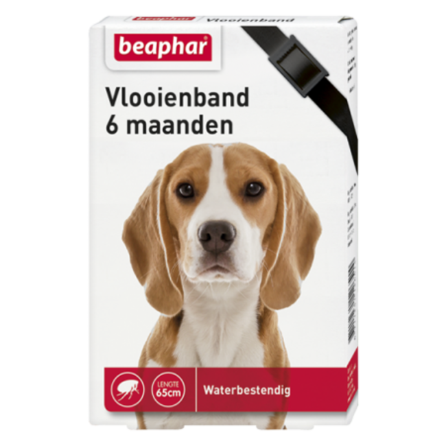 Flea collar 6mnd dog black