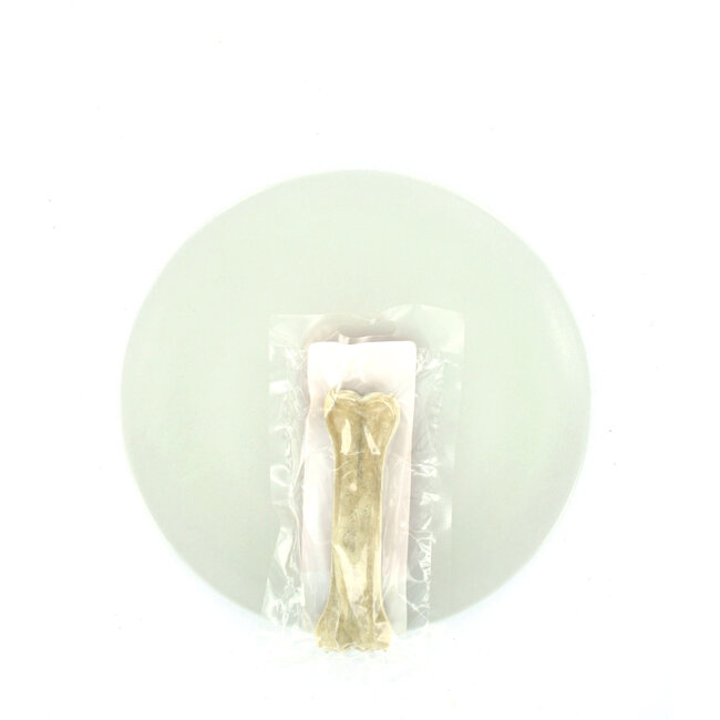 Bone 5.5 inch (14cm) 1st
